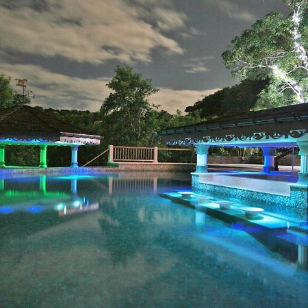 Tropical Hideaway Hotel Port Elizabeth Bagian luar foto